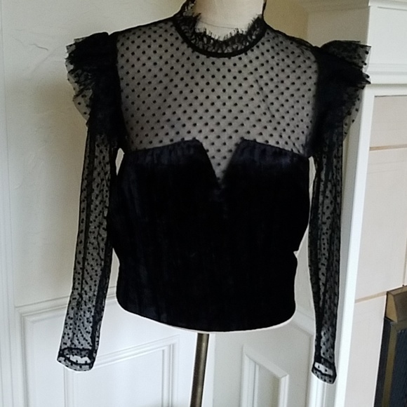 Melrose and Market Tops - Melrose and Market Top